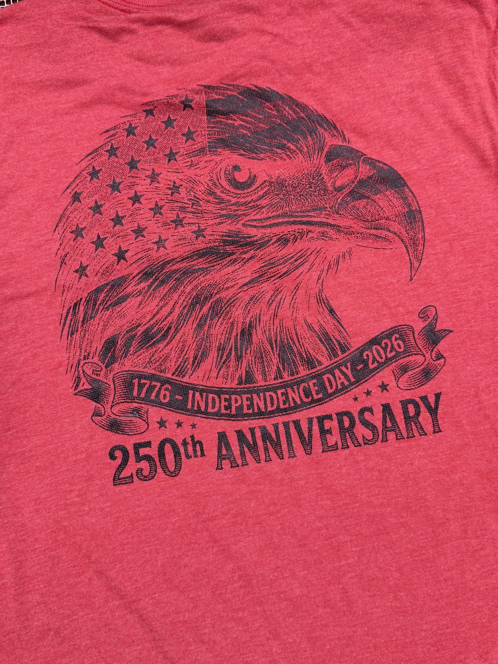 USA 250 Bald Eagle