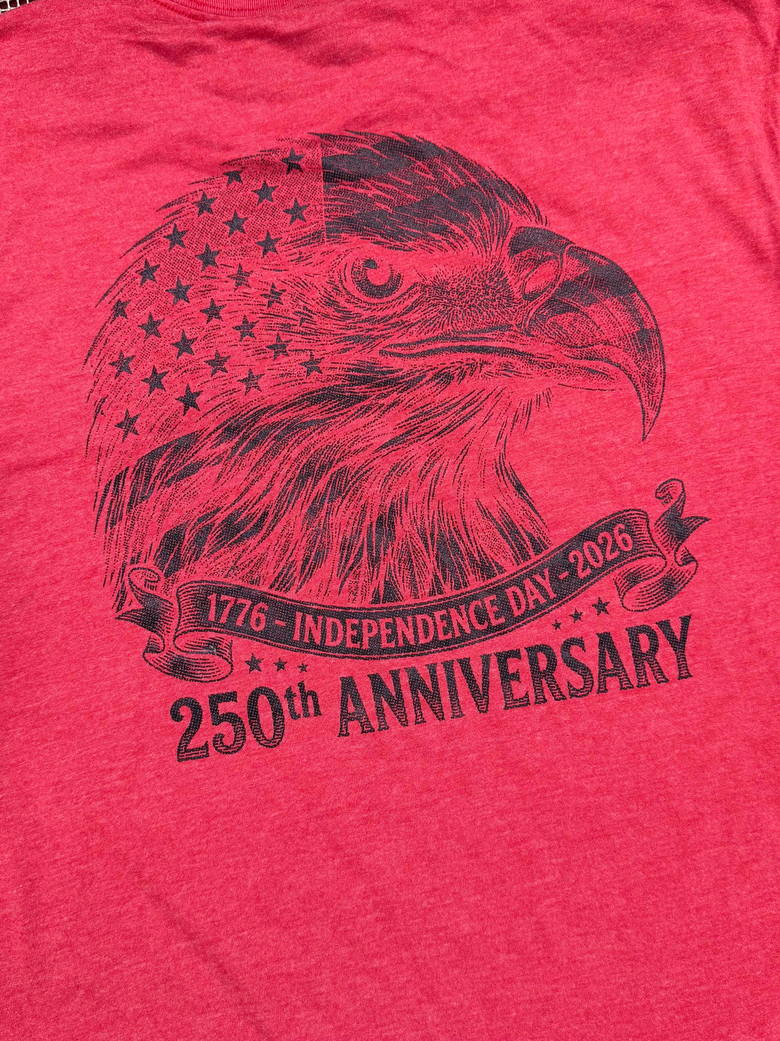 USA 250 Bald Eagle
