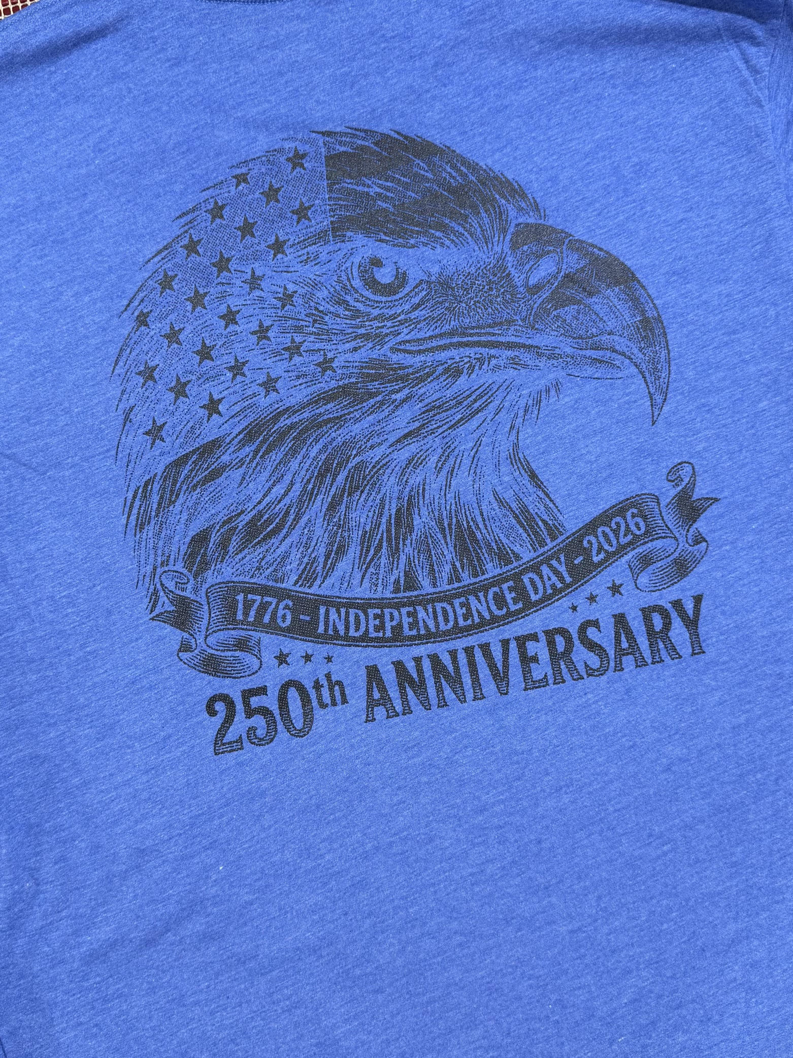 USA 250 Bald Eagle