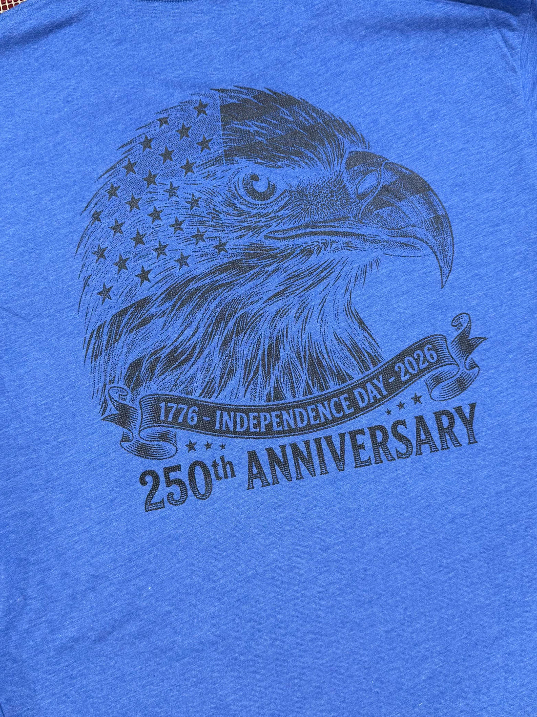 USA 250 Bald Eagle